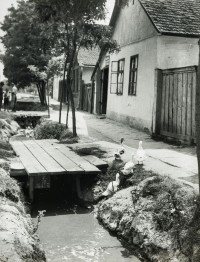 André Kertész: View of Radák St., Abony, July 27 1921